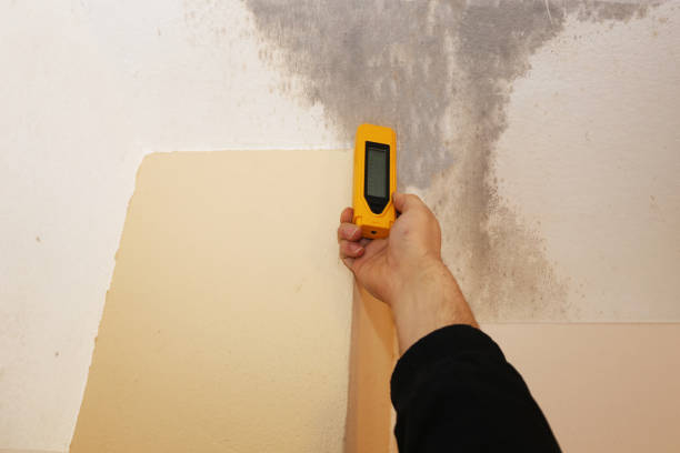 Best Commercial Mold Inspection  in Connell, WA